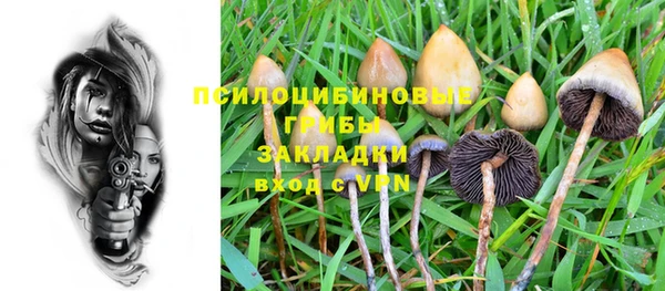ПСИЛОЦИБИНОВЫЕ ГРИБЫ Балахна