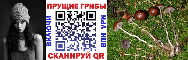 shop официальный сайт  Давлеканово  Псилоцибиновые грибы GOLDEN TEACHER  гидра сайт 